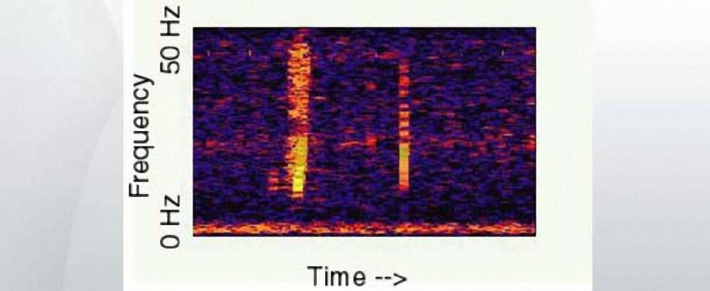 “Bloop”, el misterioso sonido en las profundidades del Pacífico Sur