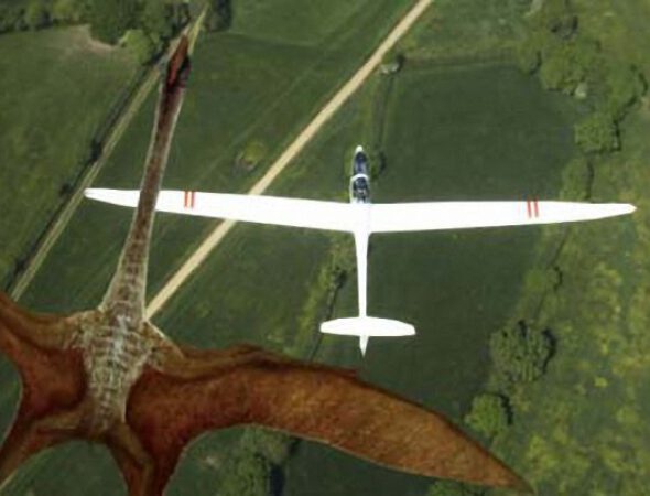 pterosaurios-consiguieron-sobrevivir