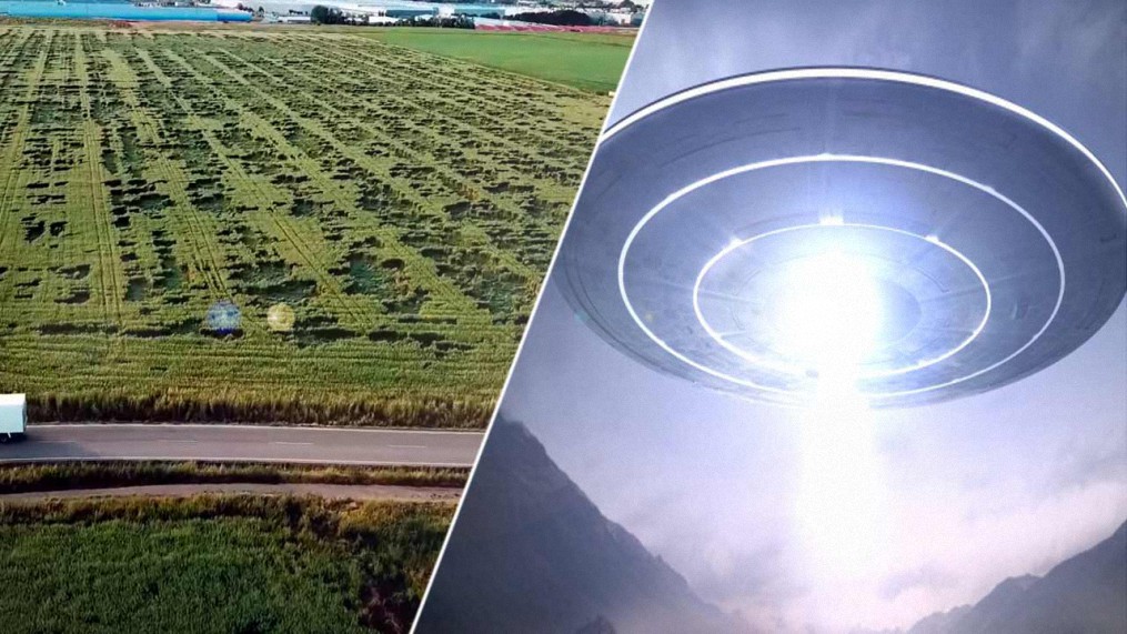 Extraño Crop Circle aparece en España durante el confinamiento