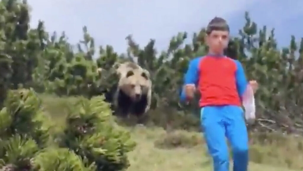 Un niño muestra qué hacer cuando un oso lo persigue en un valle de Italia