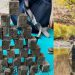 Un pescador hace un sorprendente hallazgo en un río descubre 60 extraños cubos con inscripciones sagradas numéricas