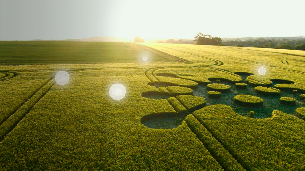 Aparece un extraño Crop Circle en Reino Unido