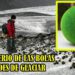 La ciencia no logra explicar que ocurre con estas raras bolas verdes