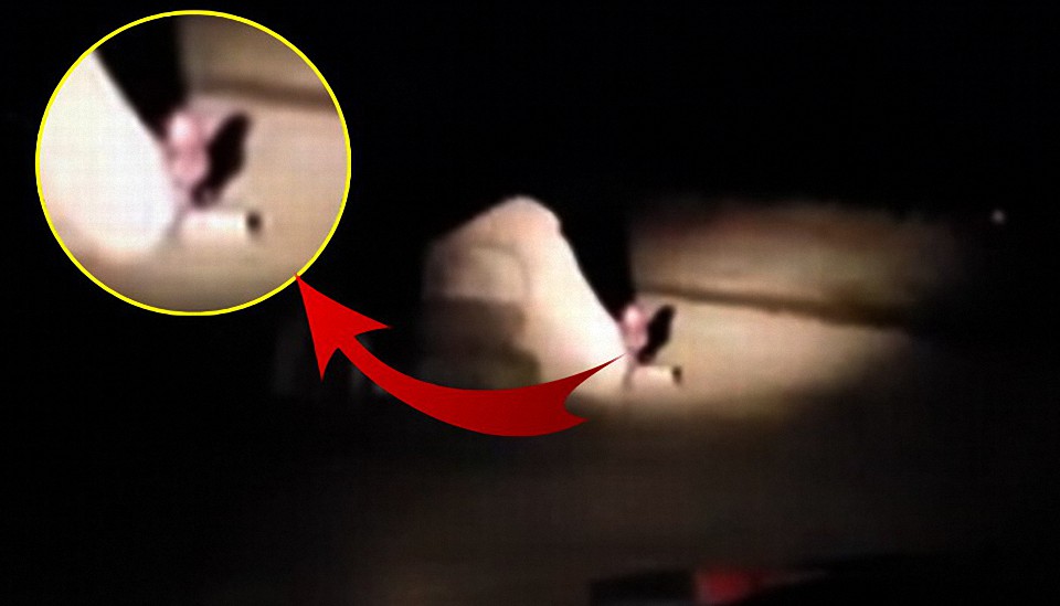 Mujer capta en vídeo pequeños seres detrás de una piedra ¿Son Gnomos, Duendes o Extraterrestres?