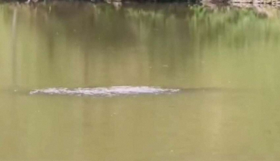 Graban un legendario monstruo en un lago de China