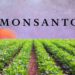 El mundo según Monsanto