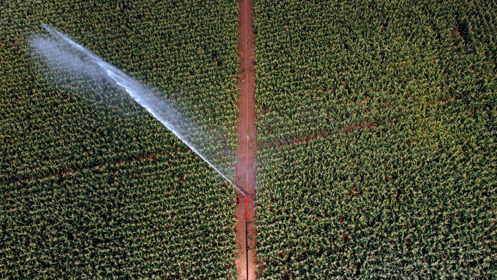 Estudio afirma que cada año se roba hasta la mitad del suministro mundial de agua