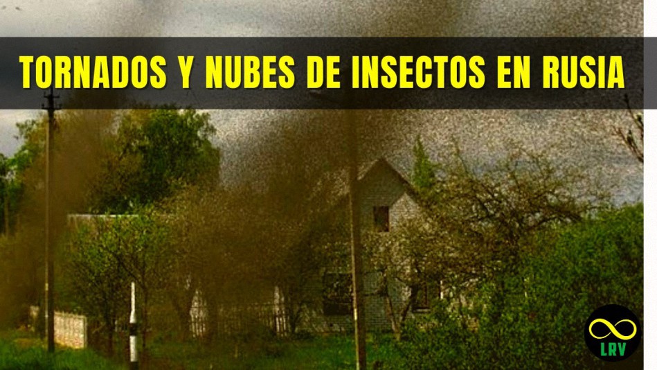 Tornados y nubes de insectos se comportan de forma extraña en Rusia