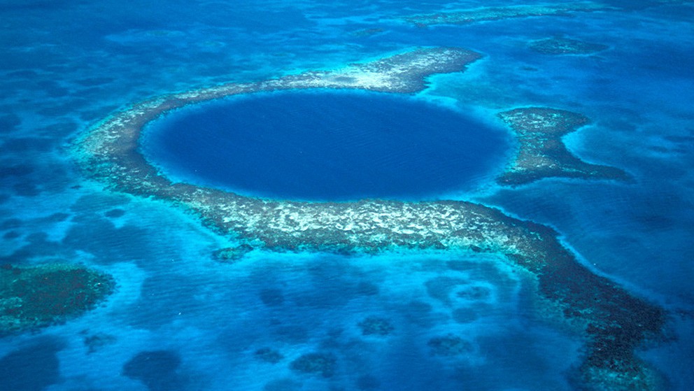 Expedición revela lo que hay al fondo del Gran agujero azul de Florida