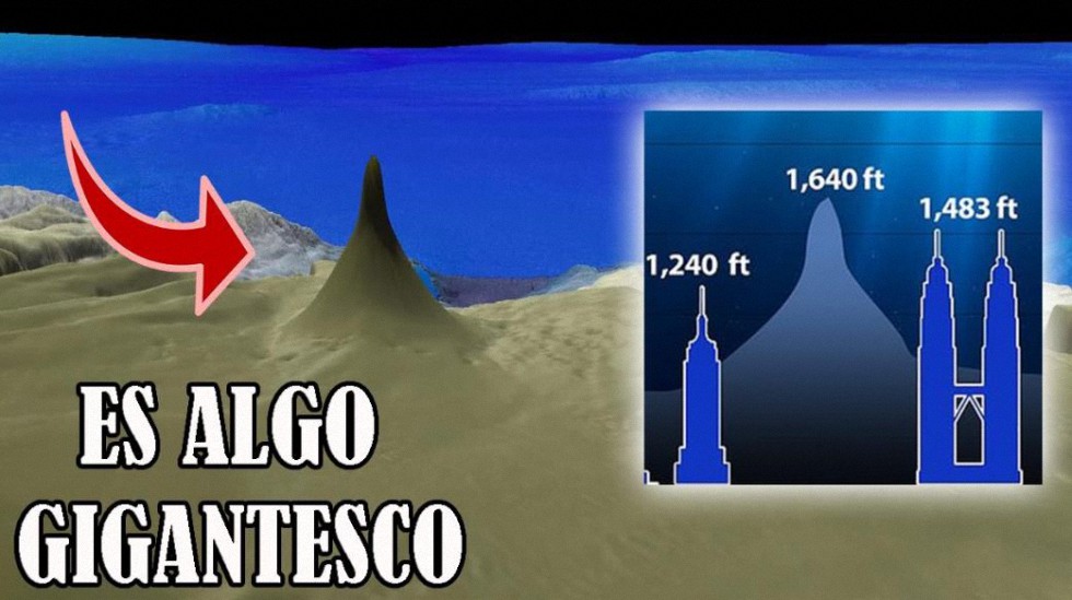 Descubren una colosal estructura viva en lo más profundo del océano