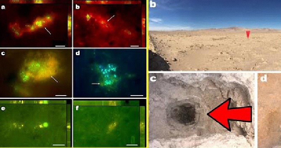 Perforan el lugar más árido de la Tierra y encuentran extraños seres vivos