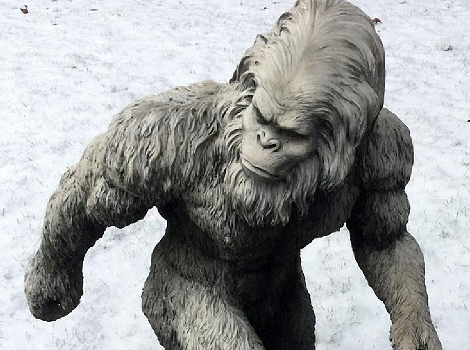 El día que atraparon a un Bigfoot