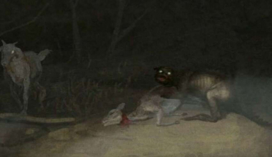 Alarma en Chile por el ataque de una misteriosa criatura que ha drenado la sangre de más de 50 animales