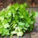 Cilantro, una hierba con 10 beneficios para tu salud