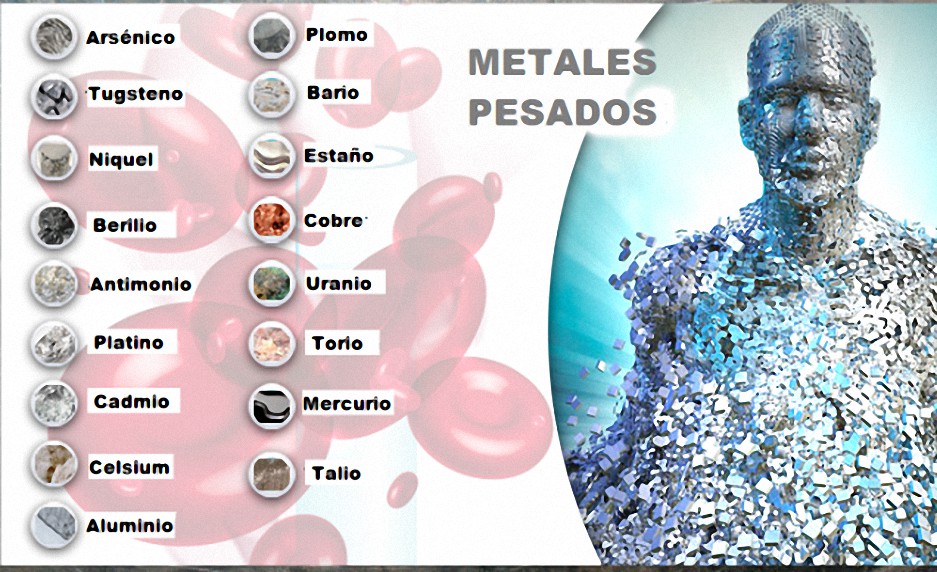 Cómo eliminar metales pesados