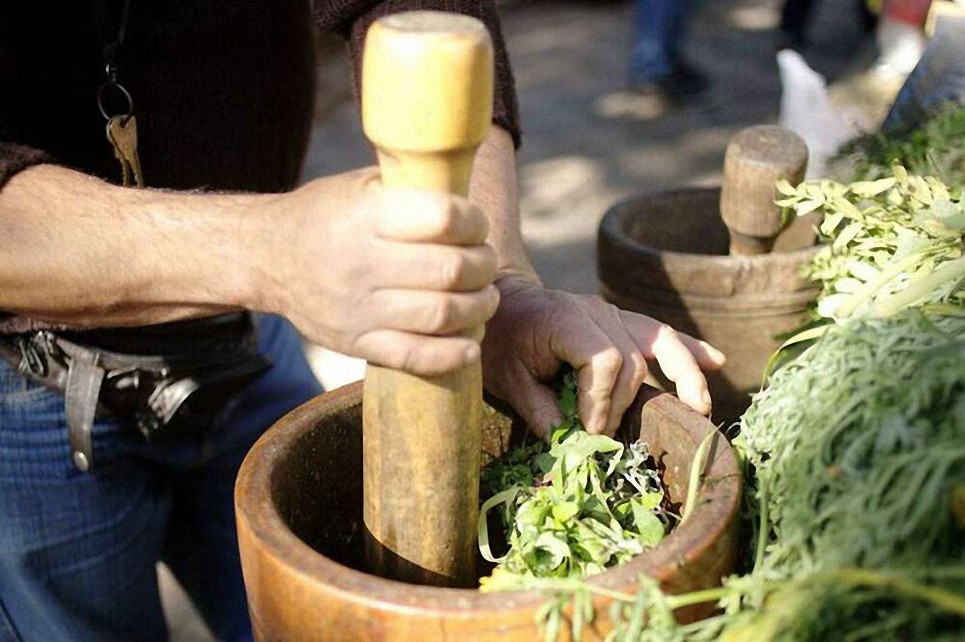 Capacitan a los médicos tradicionales de Bolivia en el uso de plantas medicinales contra el COVID-19