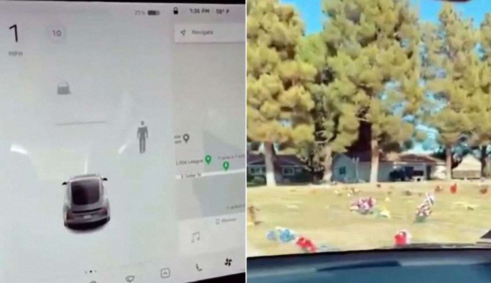 El piloto automático de un coche Tesla detecta un fantasma en un cementerio