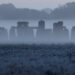 Stonehenge podría estar hecho de un monumento aún más antiguo y sus piedras se erigieron por primera vez hace 5.000 años