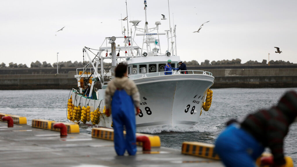 Detectan por primera vez en dos años un exceso de un elemento radioactivo en pescado cerca de Fukushima