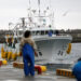 Detectan por primera vez en dos años un exceso de un elemento radioactivo en pescado cerca de Fukushima