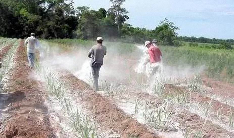 Médico español asegura que la causa principal de cáncer son los alimentos con agroquímicos