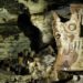 El inframundo de Chichén itzá – El hallazgo más importante del mundo maya