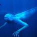 ¿Existen Monstruos Marinos en la Vida Real? – El Ningen