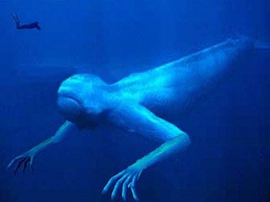 ¿Existen Monstruos Marinos en la Vida Real? – El Ningen