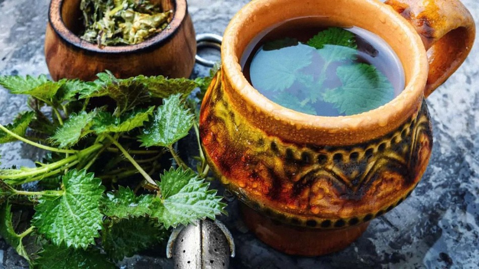 Té de ortiga: 10 razones para tomar una taza todos los días