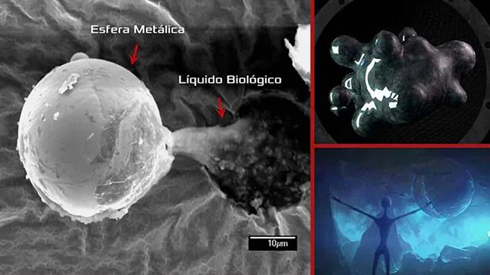 Esfera de titanio con un misterioso material orgánico fue enviada a la Tierra desde el espacio