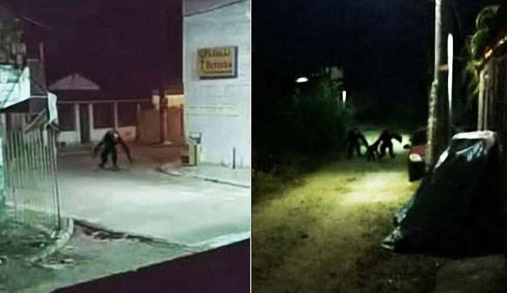 Pánico en Brasil por unas imágenes que muestran aterradoras criaturas deambulando por las calles durante la noche