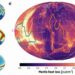 La mitad de la Tierra se está enfriando más rápido que la otra, han descubierto los investigadores