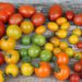 ¿Conocías todos estos beneficios para la salud de los tomates?