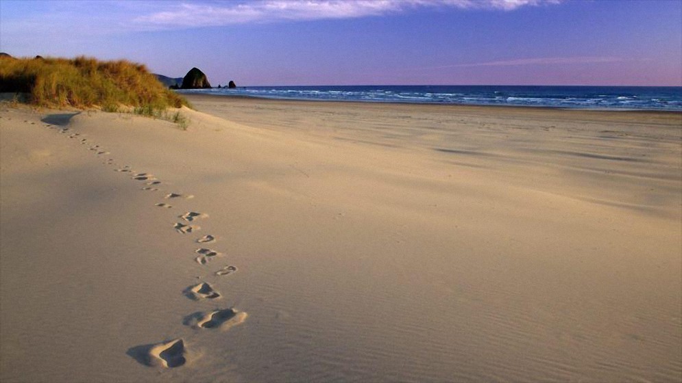 España: Hallan pistas de niños jugando en playa hace 100.000 años