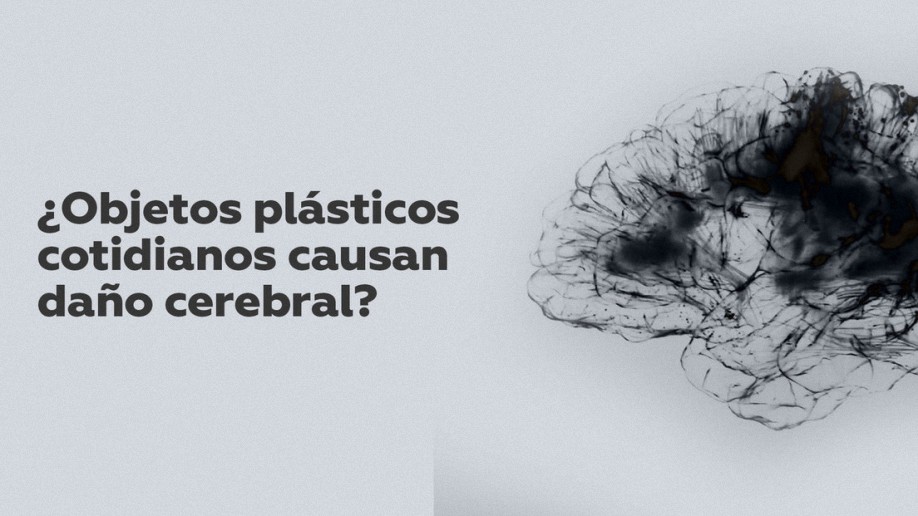 Estudio: Los plastificantes como bisfenol podrían causar daño cerebral a los humanos