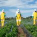 Alta concentración de agroquímicos en más de un tercio de las tierras cultivadas