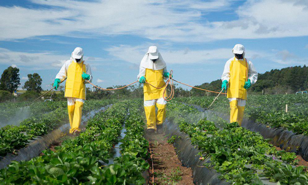 Alta concentración de agroquímicos en más de un tercio de las tierras cultivadas