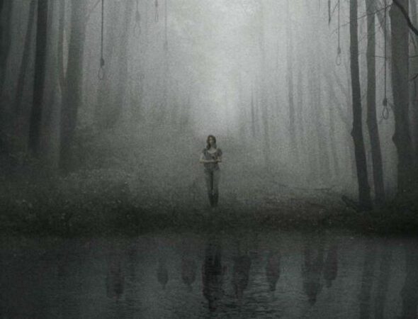 aokigahara-bosque-suicidios-850x491