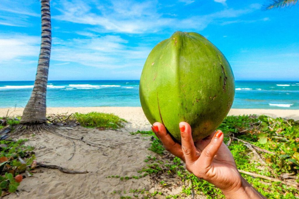 Agua de coco tiene 15 veces más potasio que el Gatorade