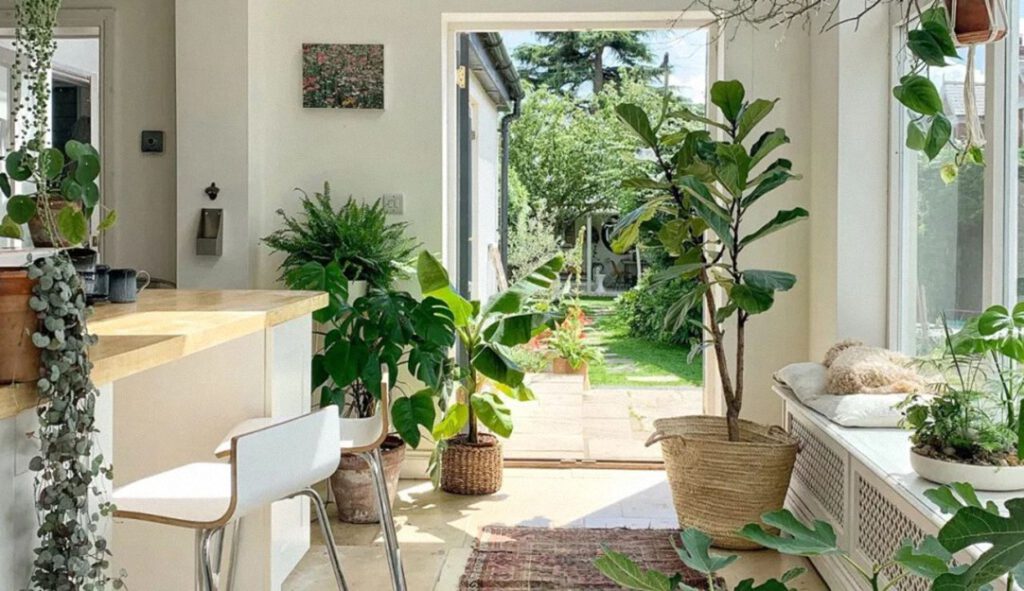 10 beneficios físicos y mentales de tener plantas de interior