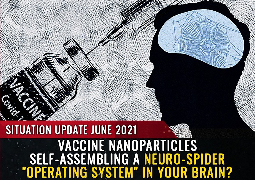 ¿Están inyectando nanopartículas capaces de auto-ensamblarse para controlar nuestro cerebro?