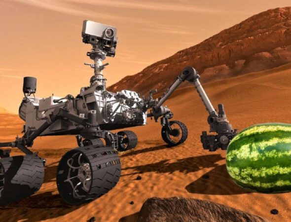 El-New-York-Times-anuncia-el-descubrimiento-de-sandias-en-Marte-por-error-portada-980x566