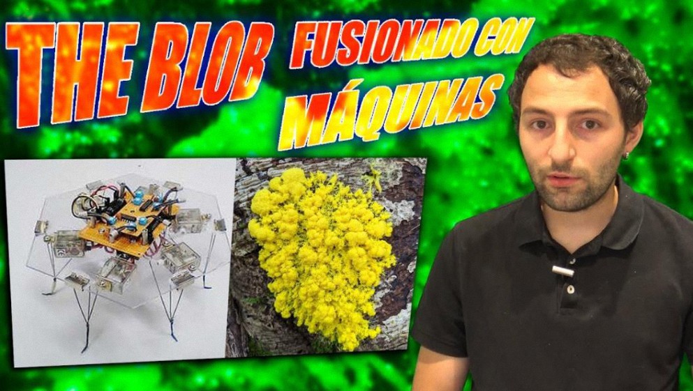 Fusionan un robot con The Blob el extraño organismo que asombra a la ciencia