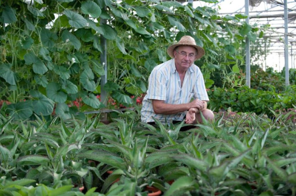 Entrevista a Josep Pámies en el que habla de las plantas medicinales, el covid 19 y la actualidad