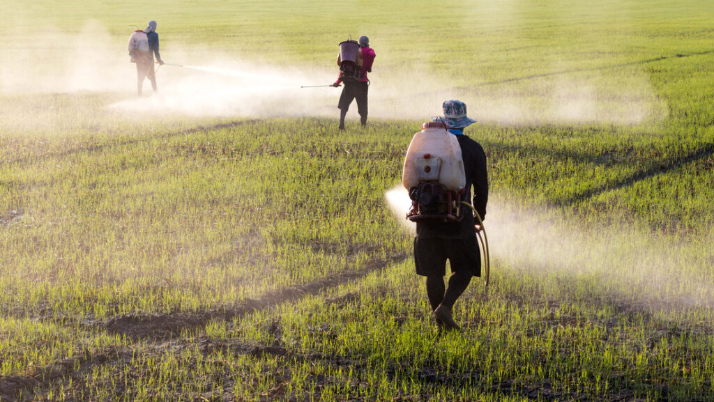 Químicos para siempre: compuestos omnipresentes que destruyen la salud, la agricultura y la vida en los océanos