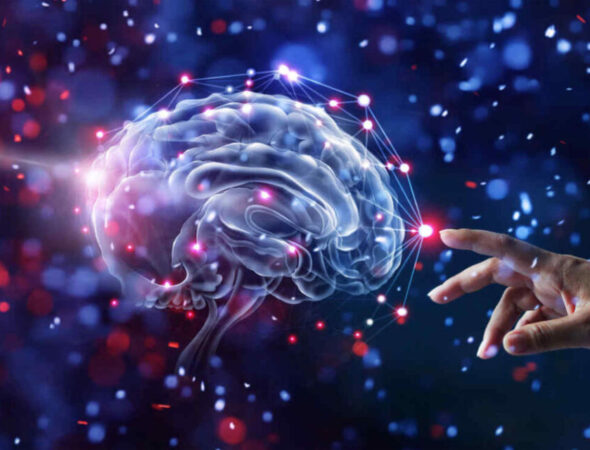 los-cientificos-revelan-un-universo-multidimensional-dentro-del-cerebro-humano-portada-1080x675
