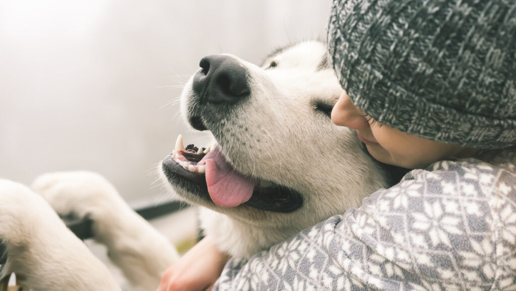 «Un método seguro para reducir estrés»: Confirman que abrazar a un perro ayuda a mejorar el bienestar mental