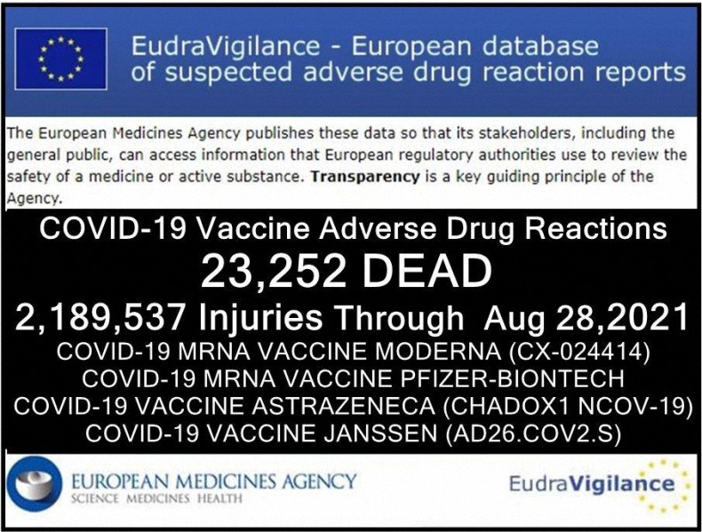 «EudraVigilance» reporta 23.252 muertes en la UE hasta el pasado 28 de agosto tras la inoculaciones