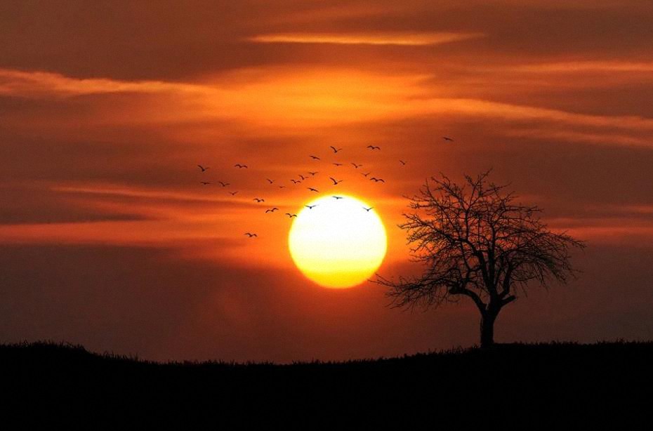 Algo en el Sol hace que tiemble la Tierra y lleguen Tormentas Solares