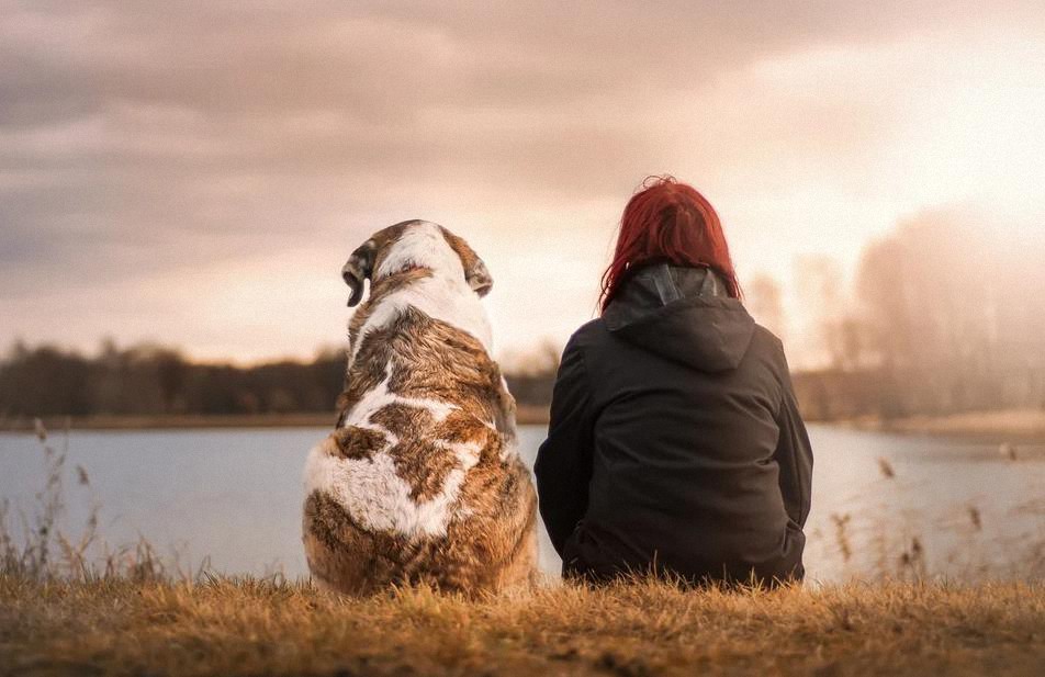 Perros y humanos – Los secretos de una amistad inquebrantable